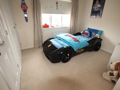 Picture 8